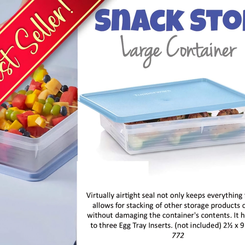 Tupperware large snac n stor